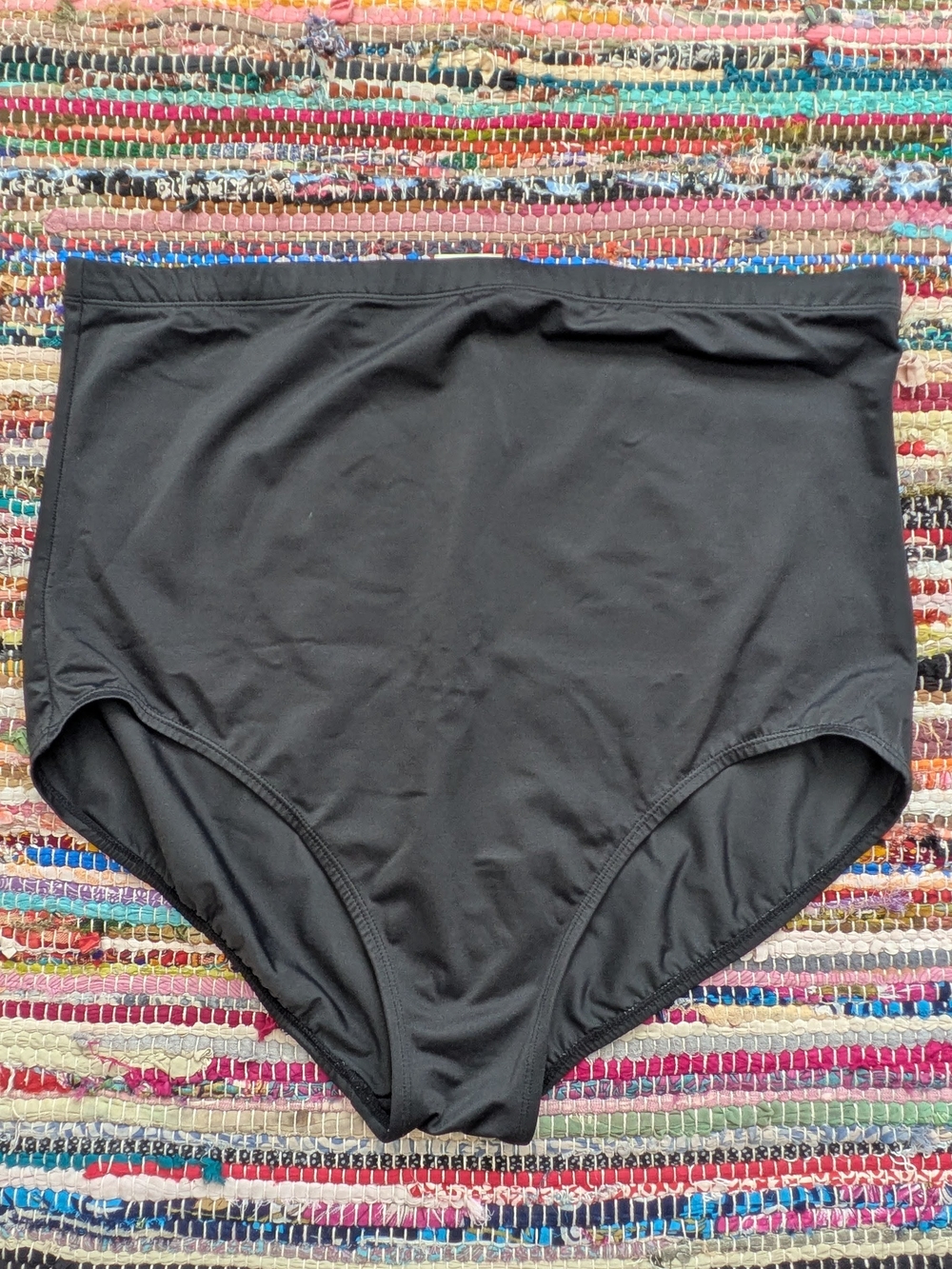 DREAMSUIT High-Waist Black Swim Bottoms 18W